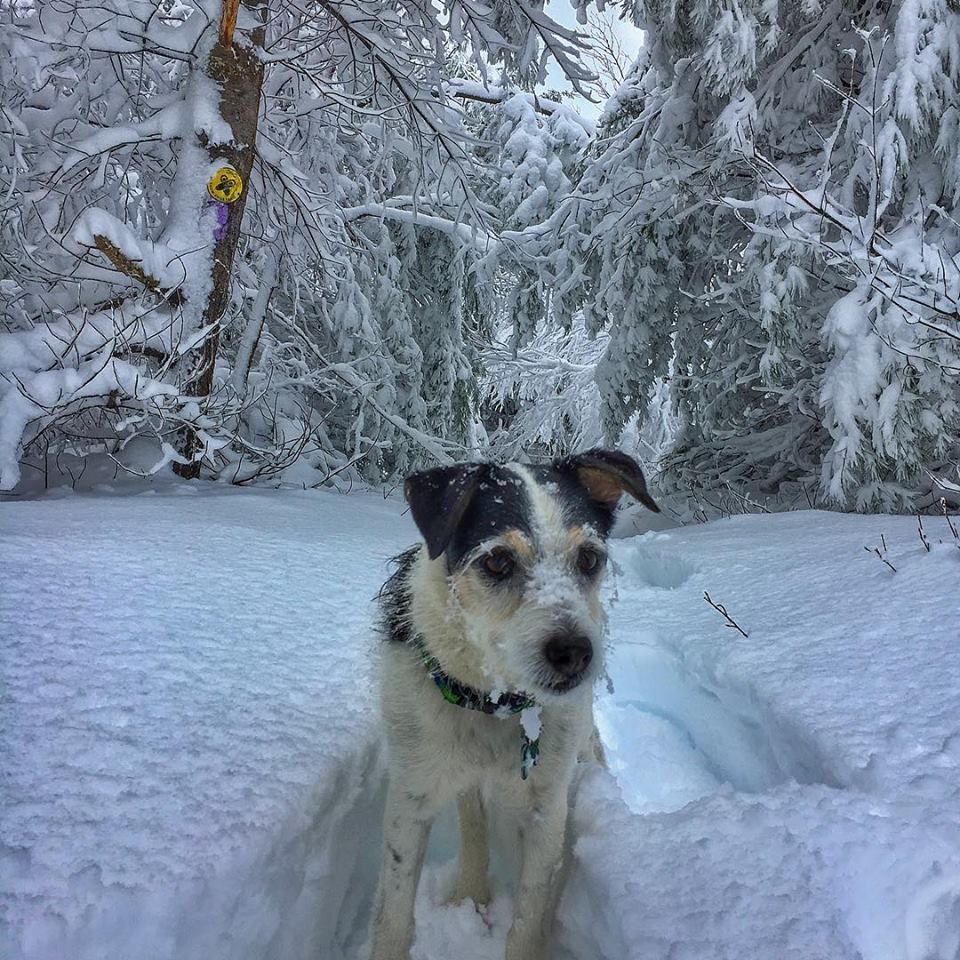 Reader Pics: Dec. 1